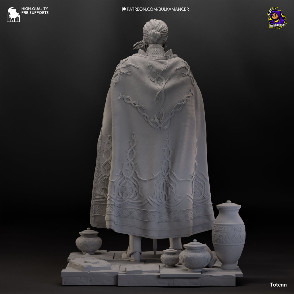 Knight of The Kind Lord - Maximum Detailed 16K Resin Statue