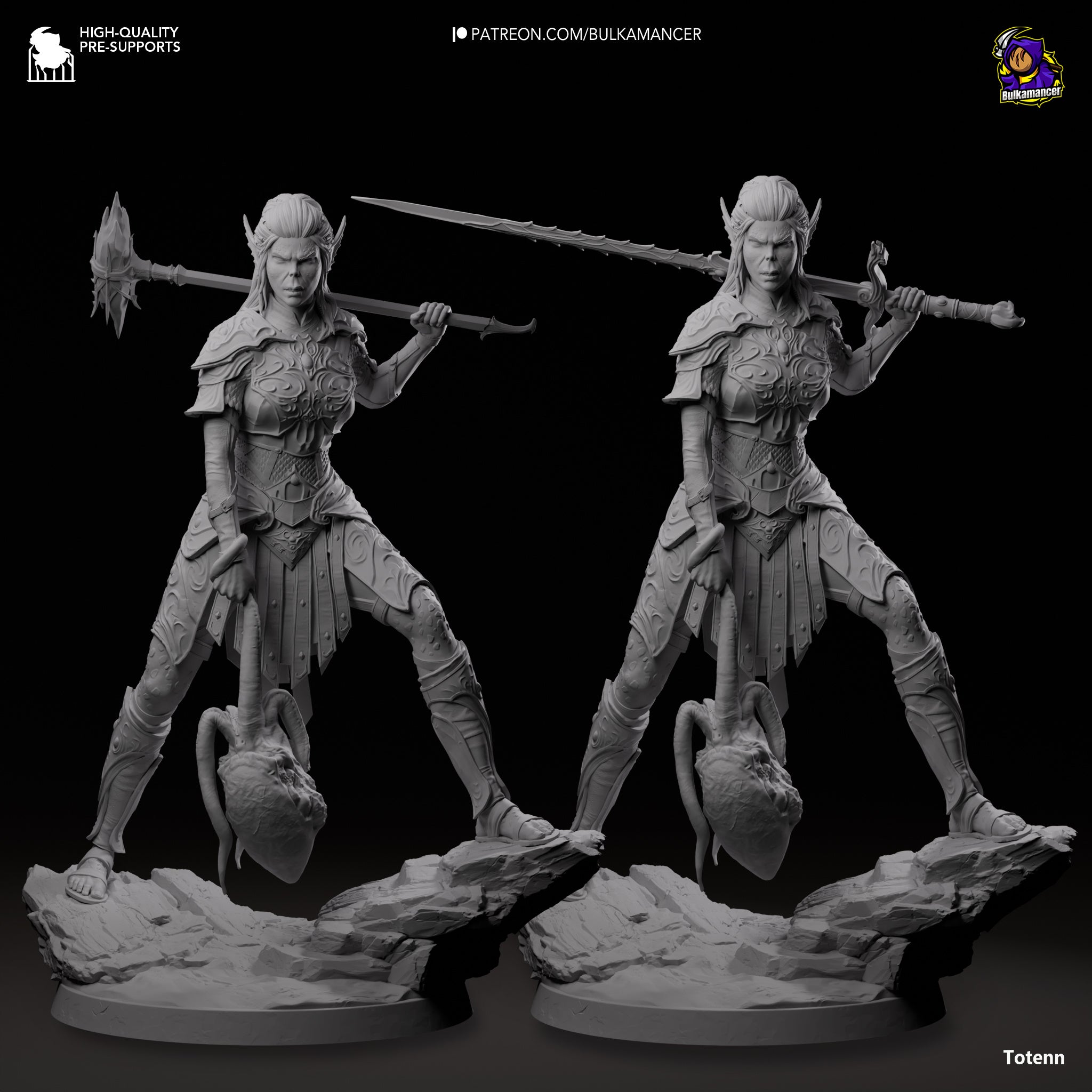 The Astral Vanguard - Maximum Detailed 16K Resin Statue