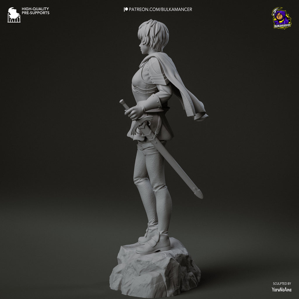 Falcon Commander - Maximum Detailed 16K Resin Statue