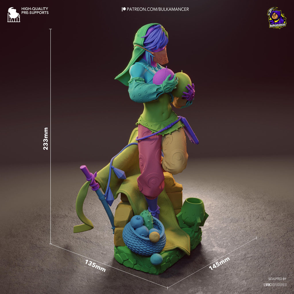 Veil Of Gerudo - Fantasy Elf Desert Gerudo Link Resin Figure 16K