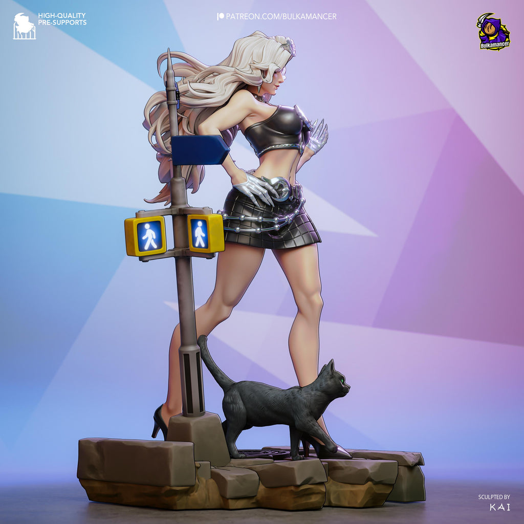 Fortune’s Thief - Comic Character Hero Thief Black Cat Resin Figure 16K